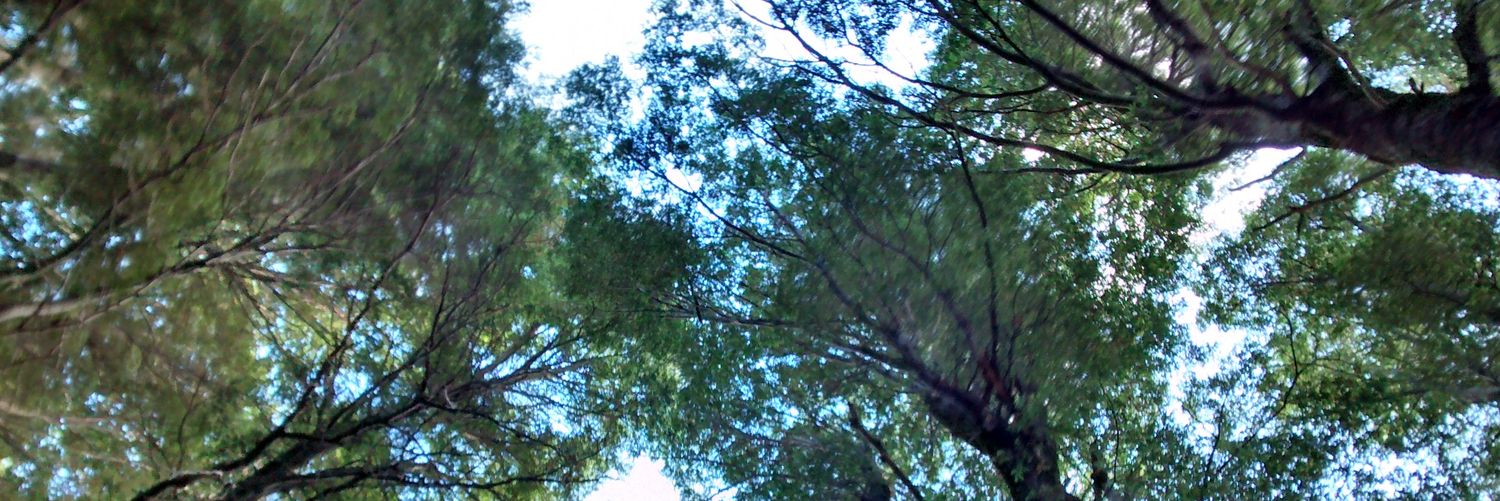 0agustinfp's profile banner image