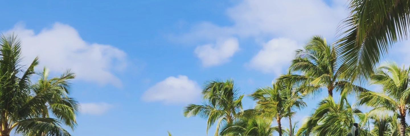 LisaMarieGnot's profile banner image