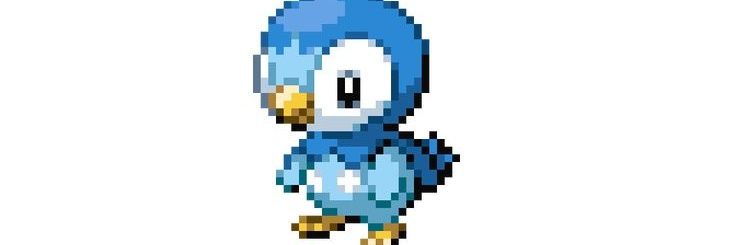 pottyama67's profile banner image