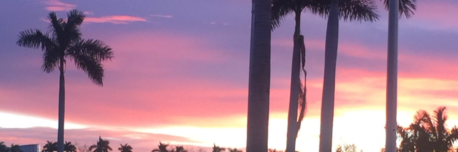 ReshiaAnn's profile banner image