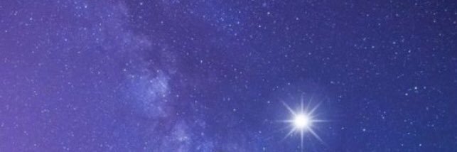 Seawings🍁🌸🐳 banner