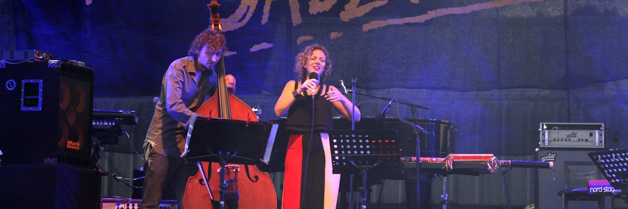 LauCorallini's profile banner image