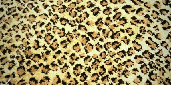 AcaciaClarkSW's profile banner image