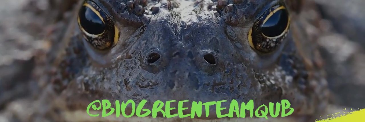 BioGreenTeamQUB's profile banner image