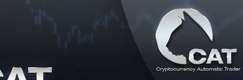 CAT_trader's profile banner image