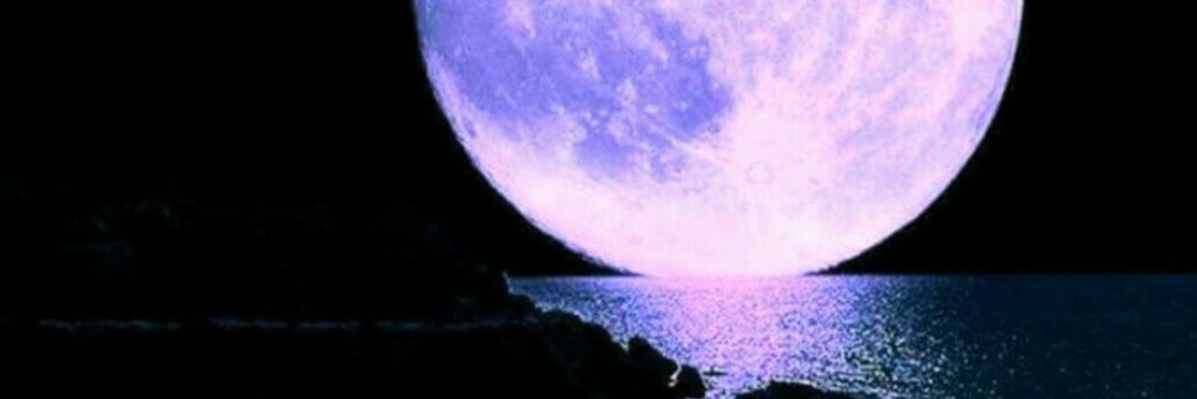 Yani05f's profile banner image