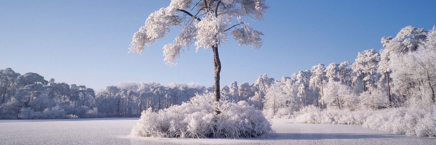 Johnny Mulkern banner