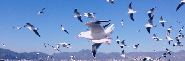 yuu90072 Profile Banner