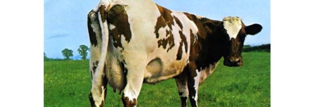 Mr_Marsellus's profile banner image
