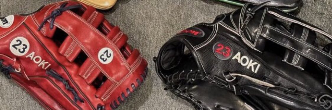 oldhickorybat's profile banner image