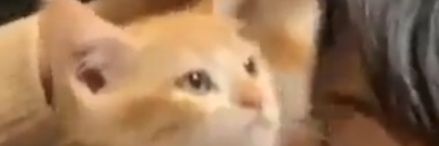 PatheTich_'s profile banner image