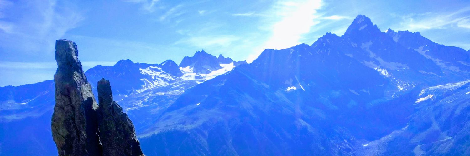 shalchia's profile banner image