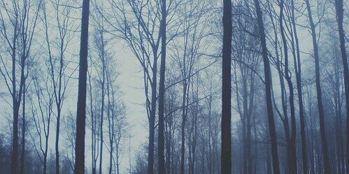 niallcmlgdr's profile banner image