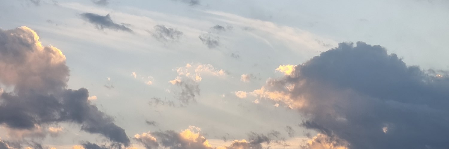 α banner