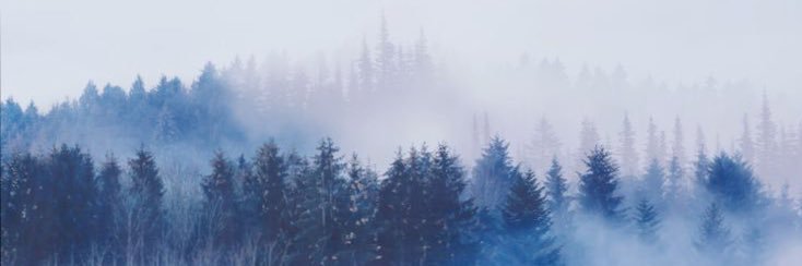 _Cookie_Mimi_'s profile banner image