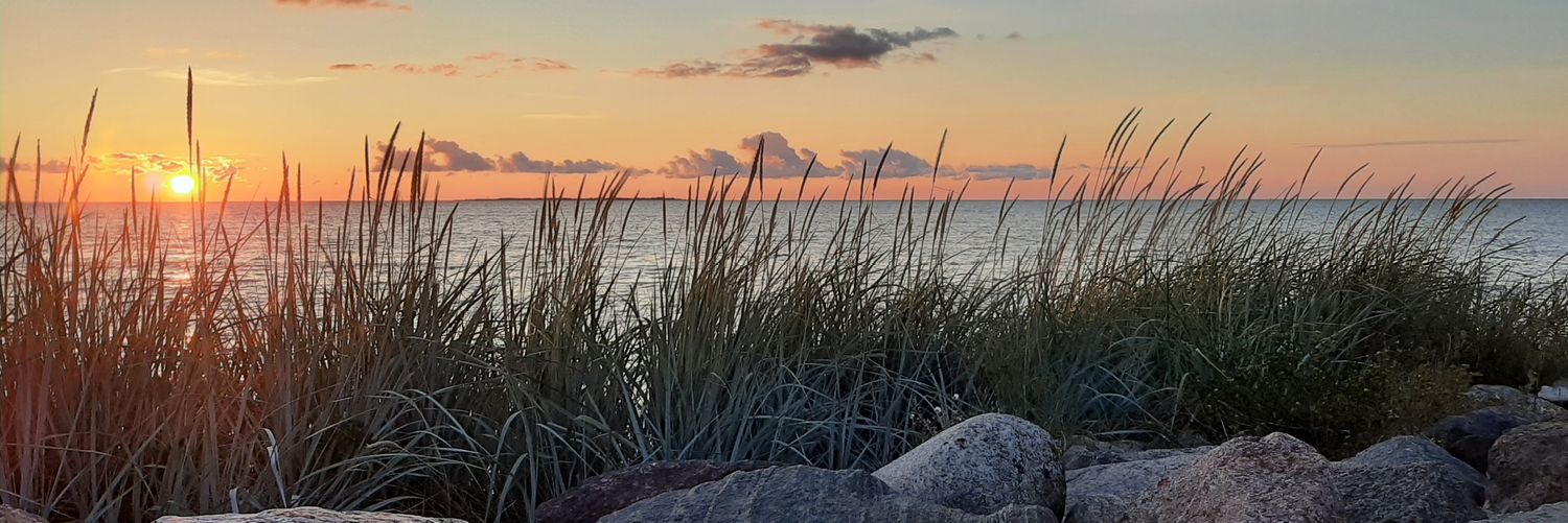 Milla Uusi-Pietilä banner