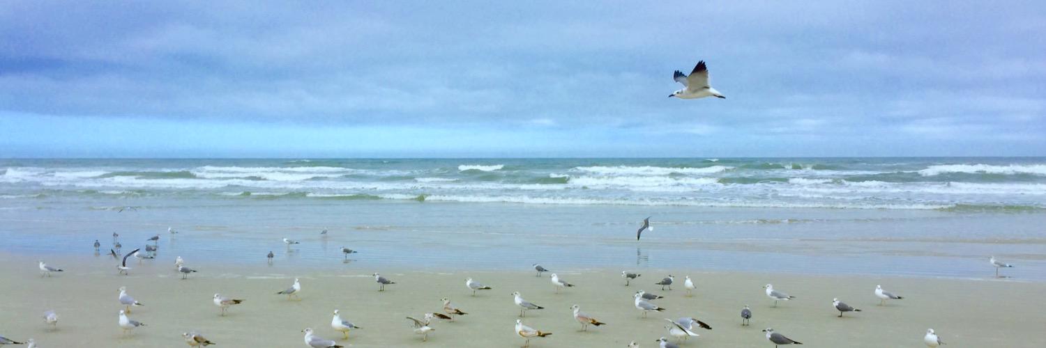 Carlos Bardasano banner