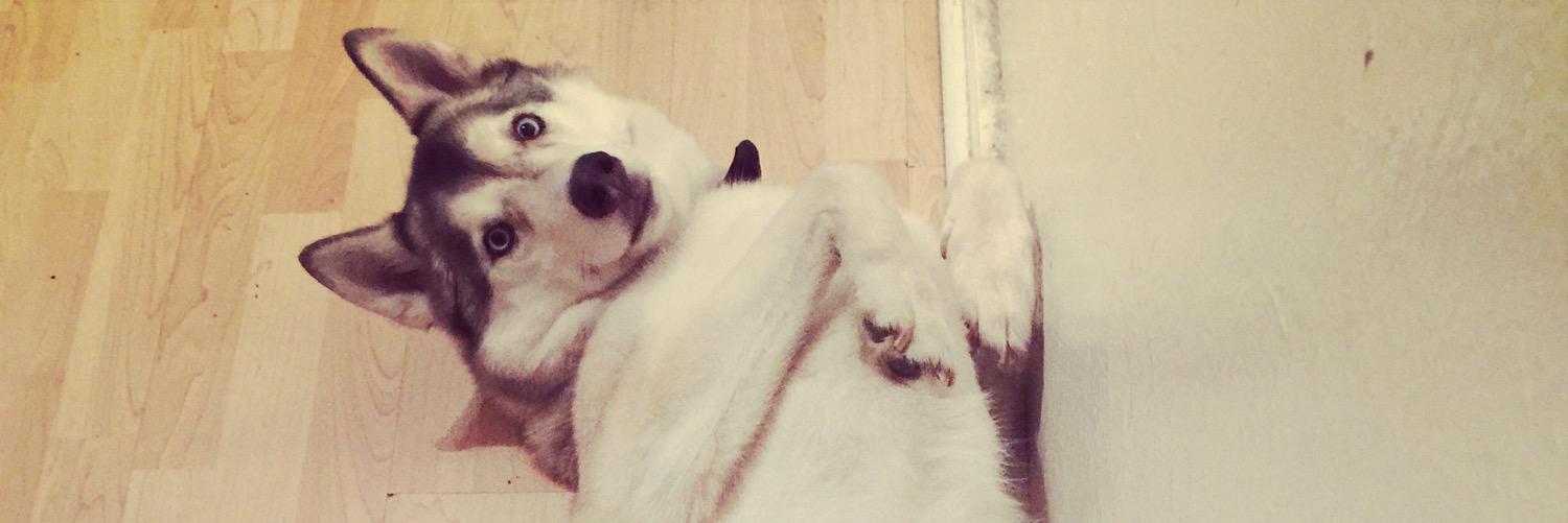 Jess Montejano banner