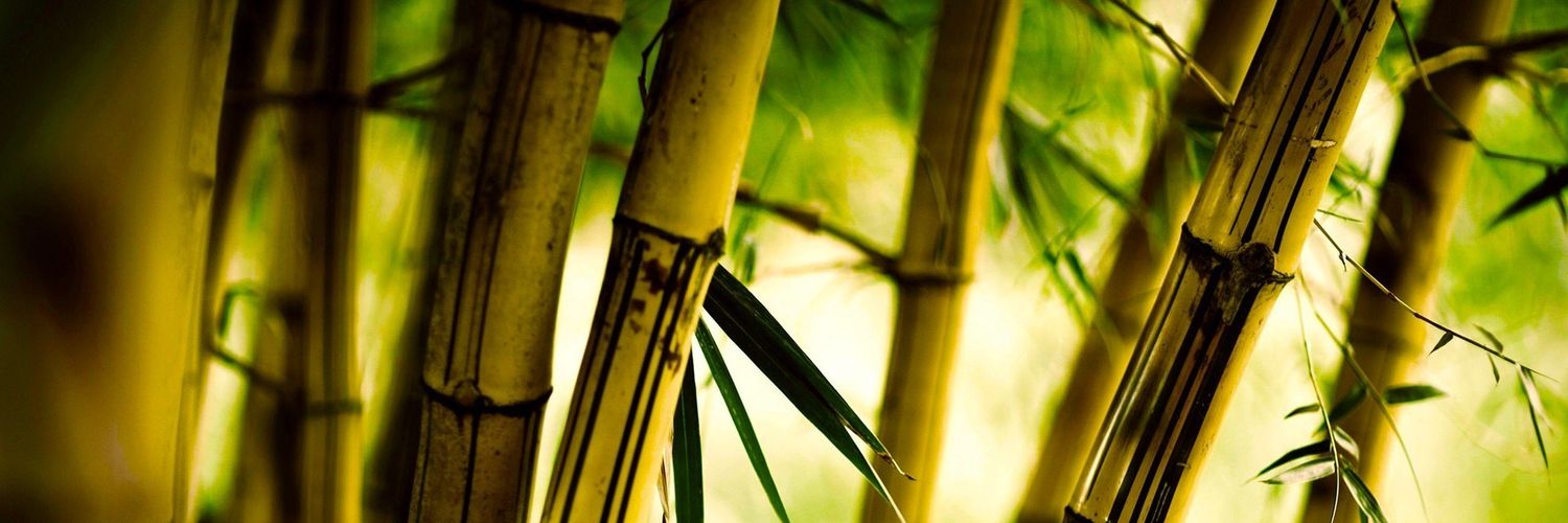 Unaz_STRG's profile banner image