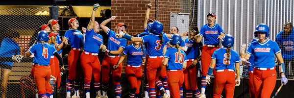 MSC_Softball Profile Banner