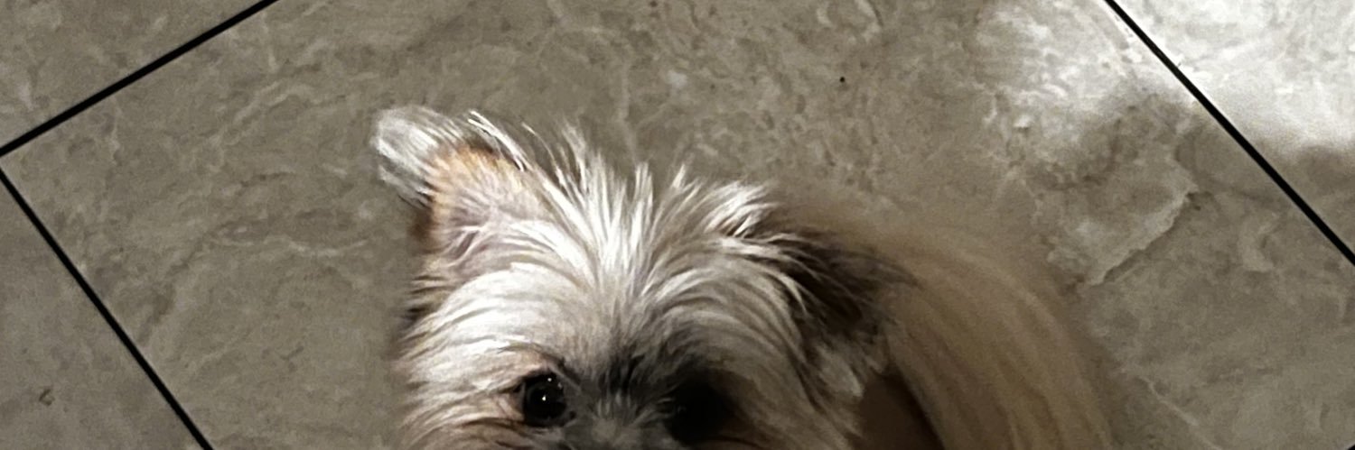 stteph98's profile banner image