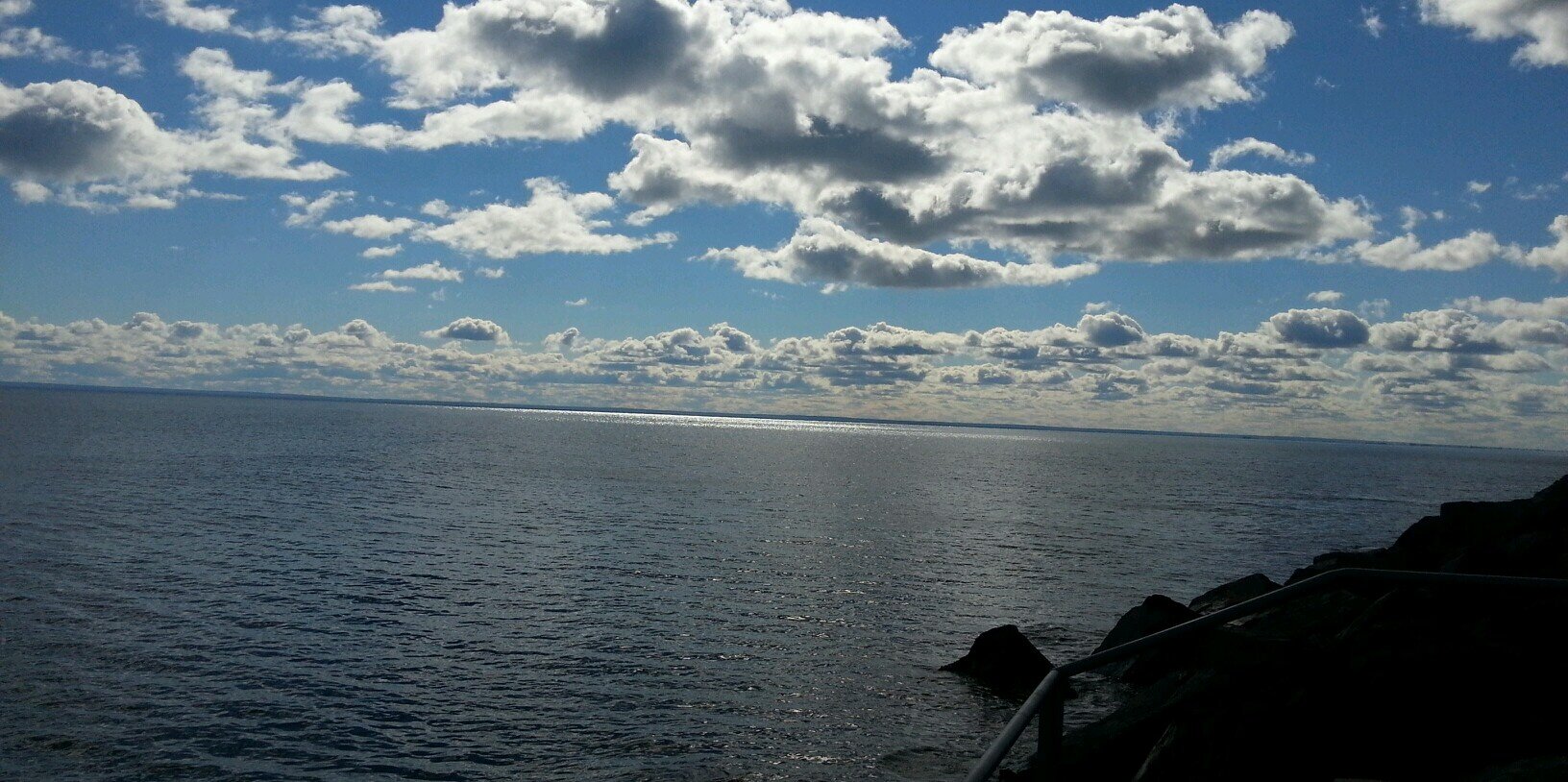 tracmueller's profile banner image