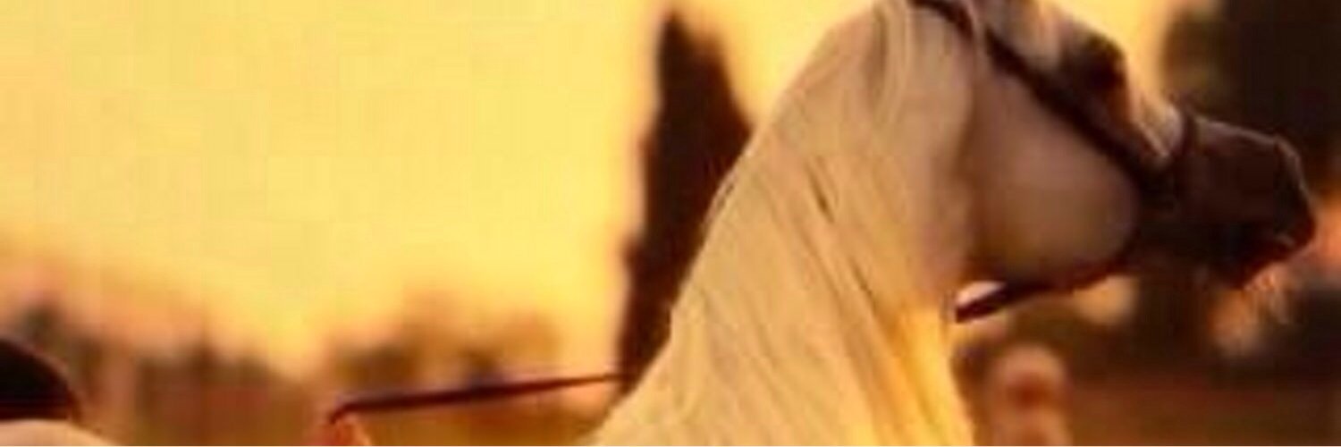 stst2000071's profile banner image