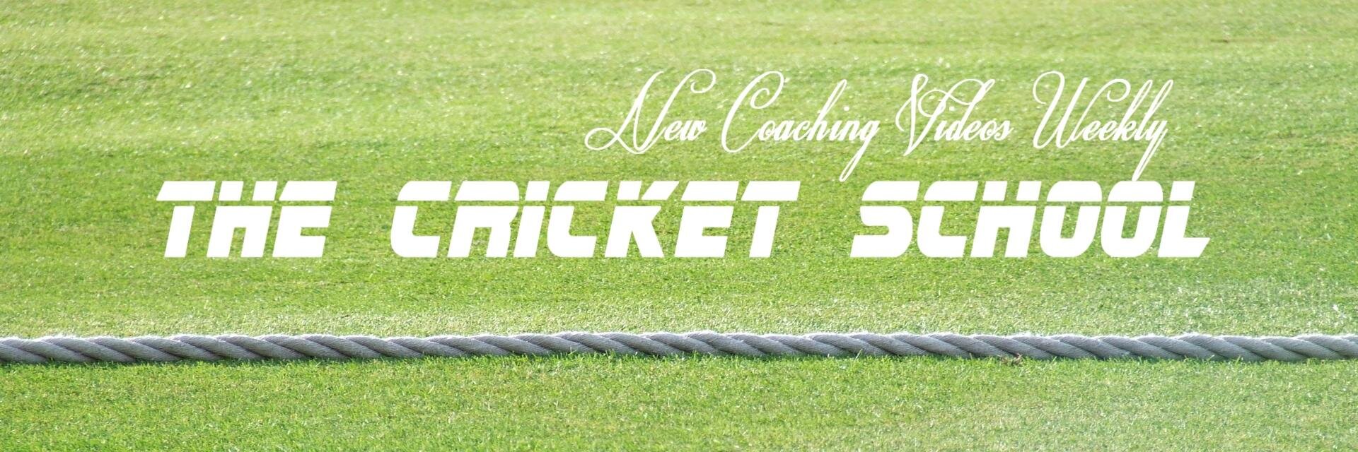Cricket_Is_Cool's profile banner image