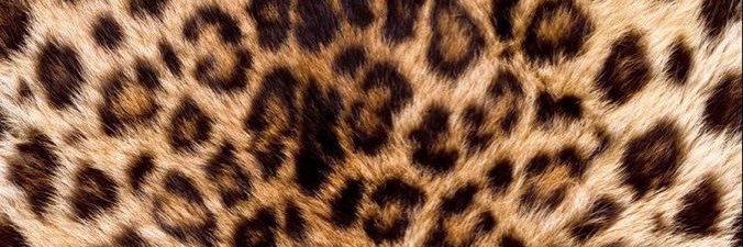 guatemalanbby's profile banner image