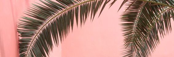 seval_naz's profile banner image