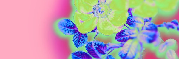 BFIFlare Profile Banner