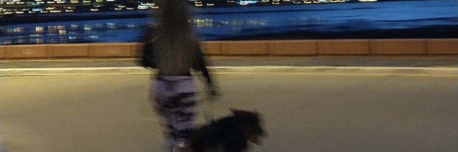 CataHernandezz's profile banner image