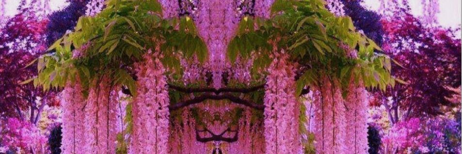 gaillardel's profile banner image