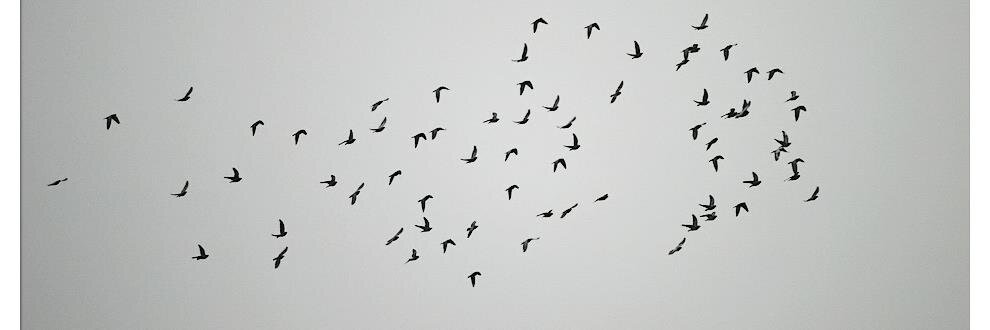 ladylwazo's profile banner image