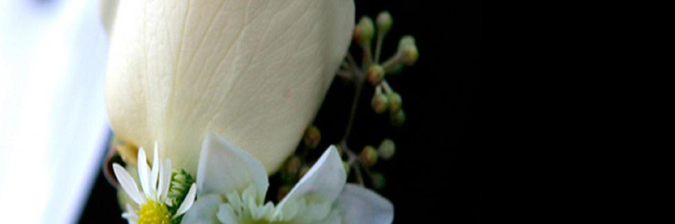 ShowcaseDJ's profile banner image