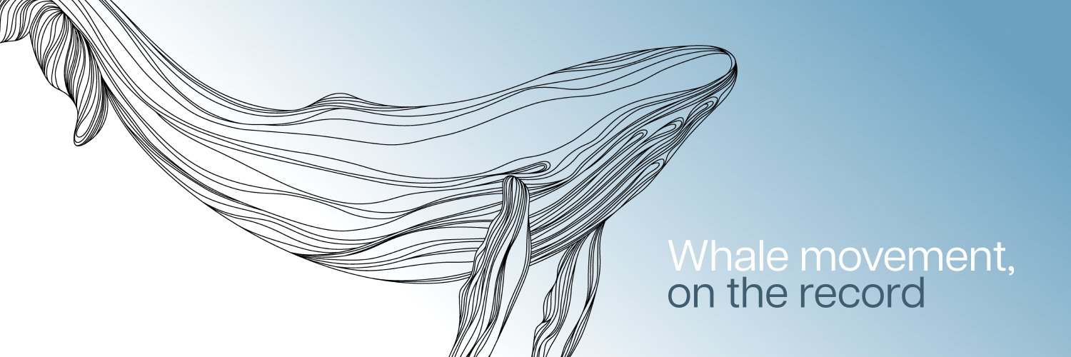 TheWhaleScout's profile banner image