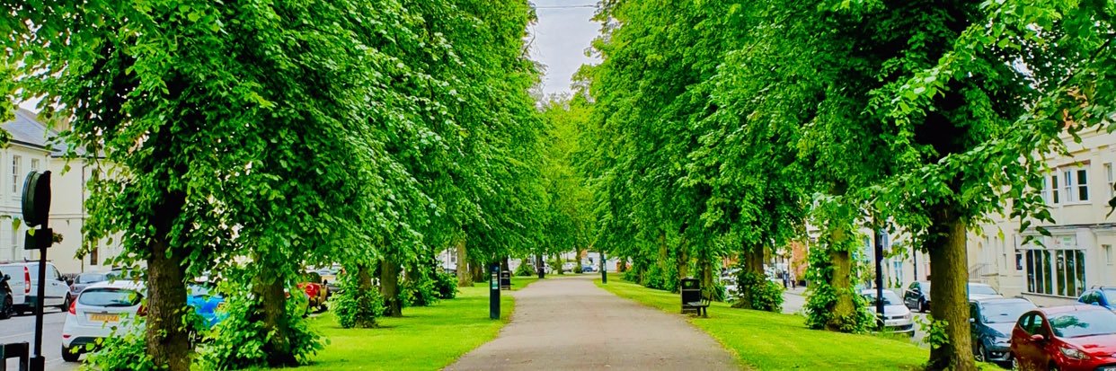 Clarendon Lodge banner