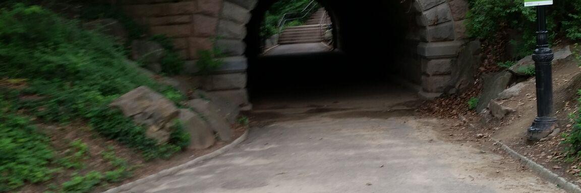 Sharon McMahon banner