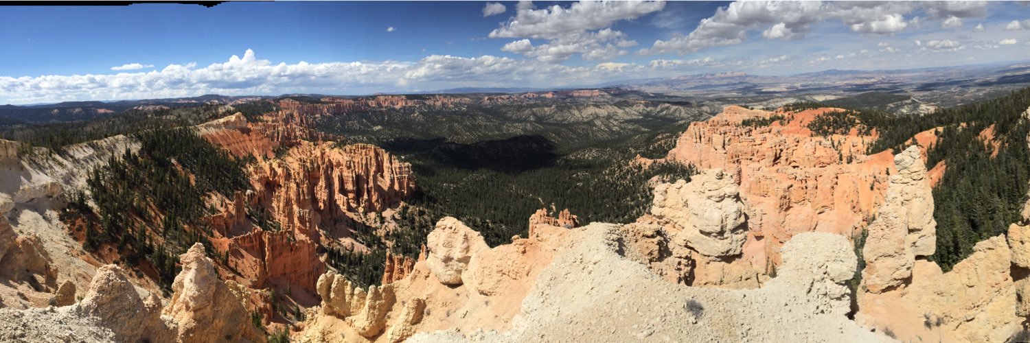 Susan Adams, EdD banner