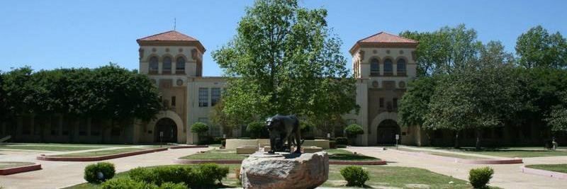 MHS Diamond Dolls banner