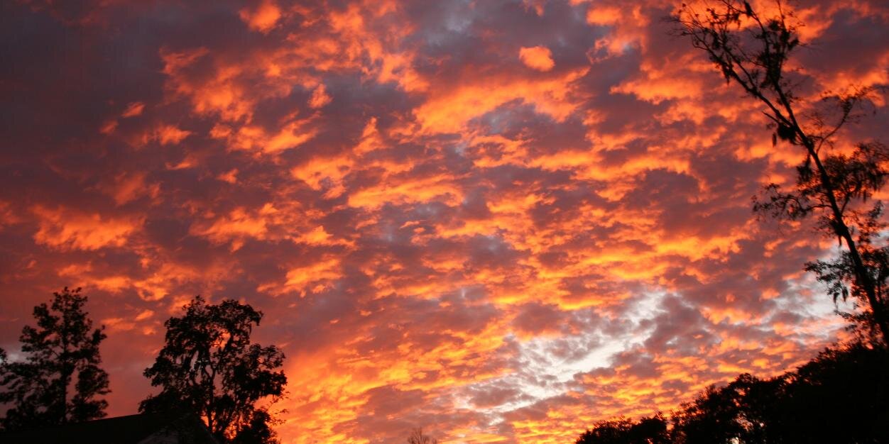 Henry Chinaski banner