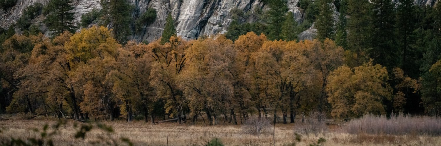 MarcusdeHoop's profile banner image