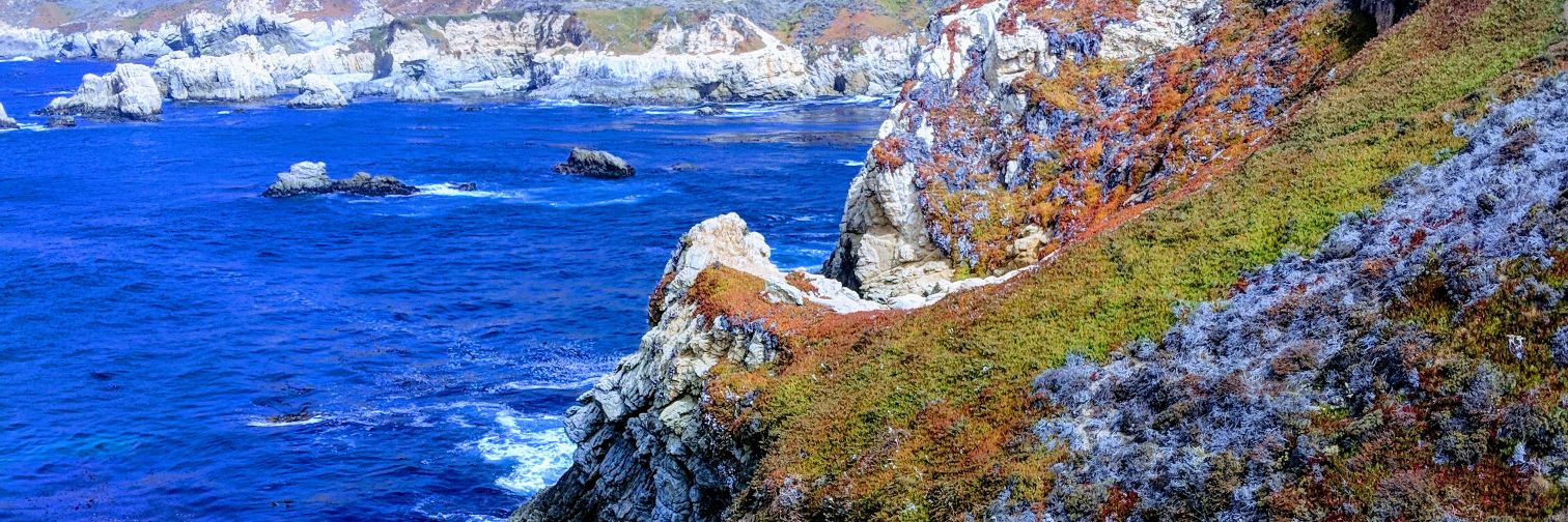 Stephen Kimani, MD, MSc banner