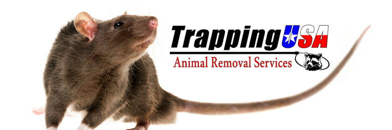 TrappingUSA's profile banner image