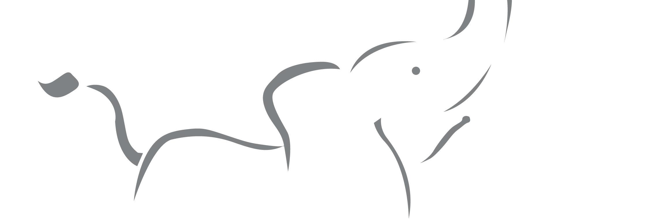 elephant_ic's profile banner image