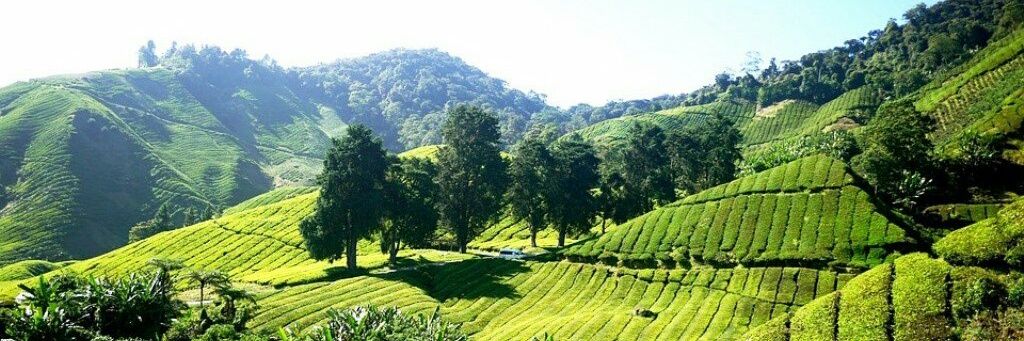 BhabiParajuli's profile banner image