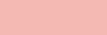 alizeymirza's profile banner image