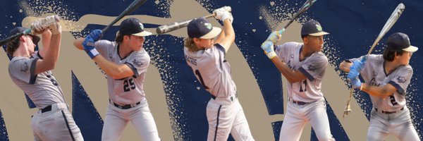 _Gatorball_ Profile Banner