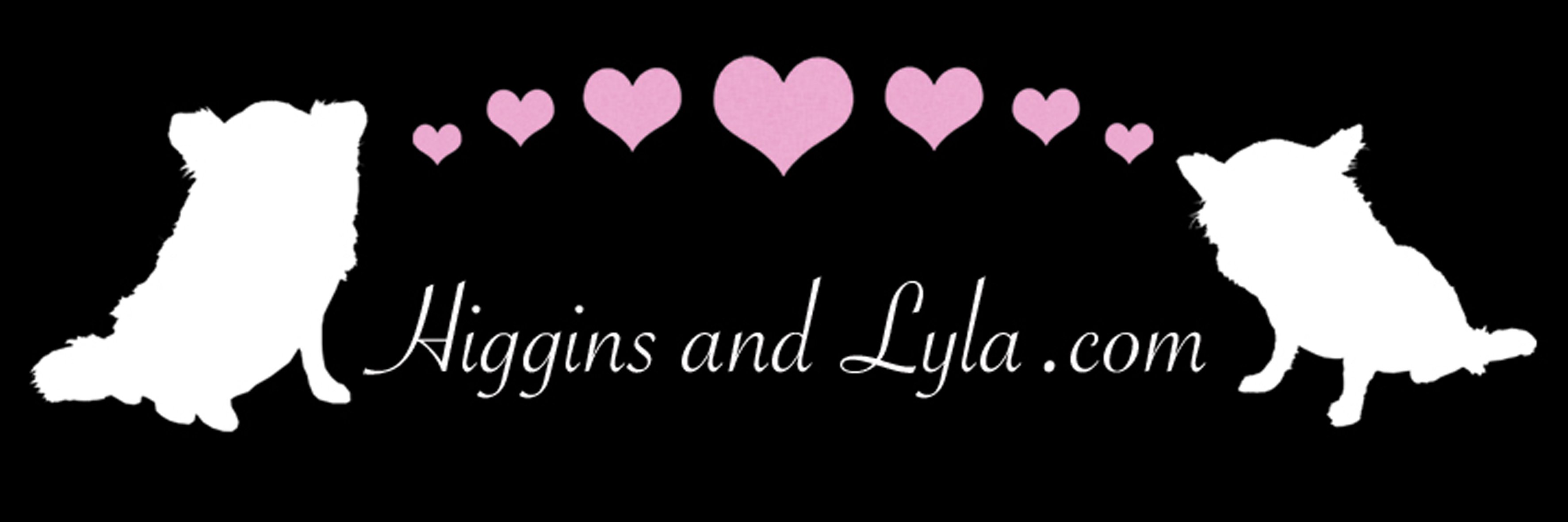HigginsandLyla's profile banner image