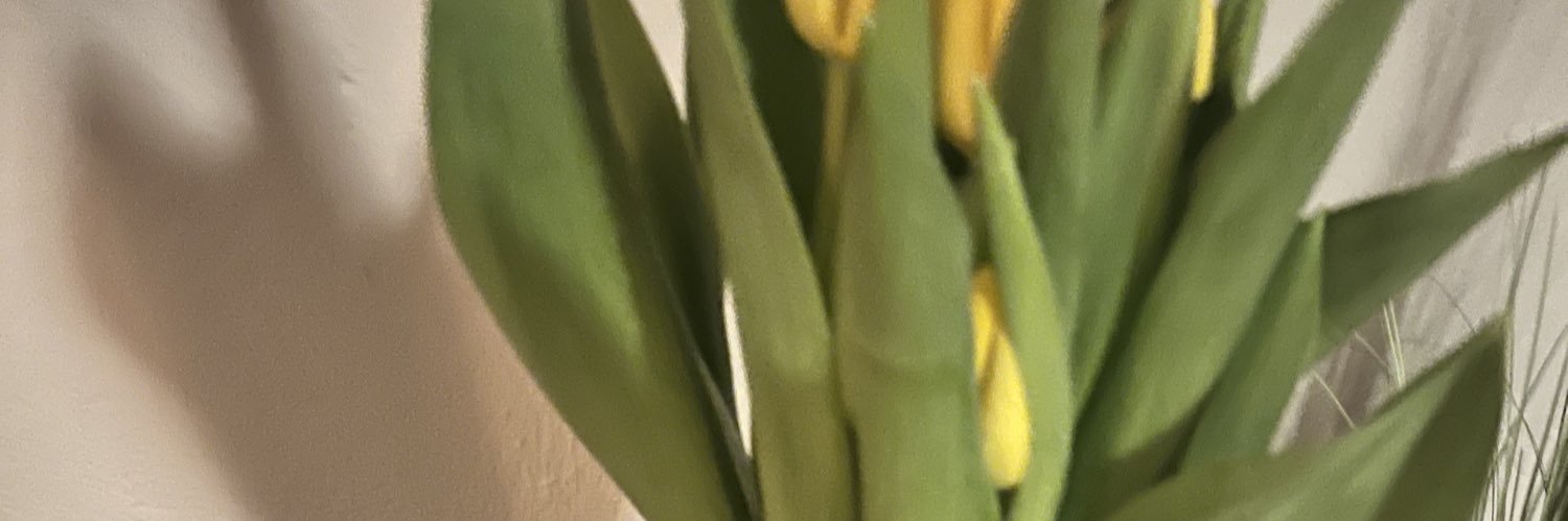 tshired's profile banner image